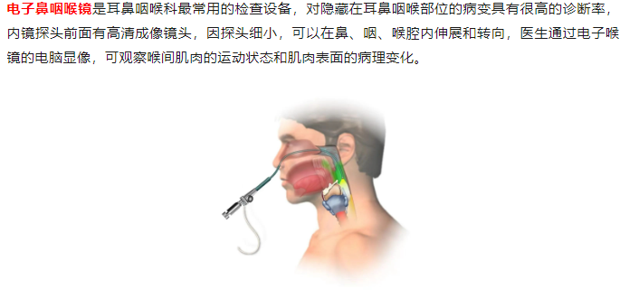 【业务介绍】耳鼻咽喉科：带你了解电子鼻咽喉镜